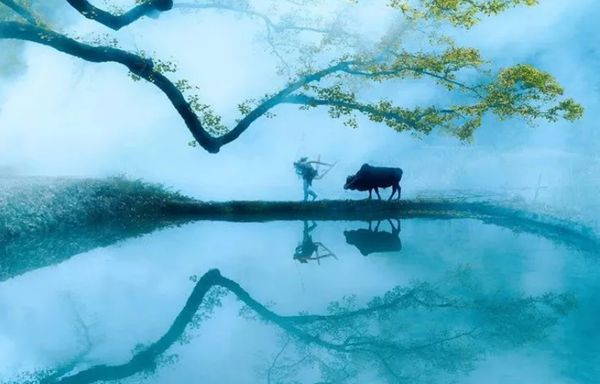 回歸鄉村，方知幸福 【輕鋼別墅】(圖1)