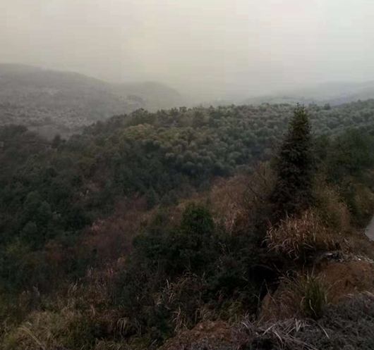 有故鄉(xiāng)者擁有幸福 ，你在他鄉(xiāng)還好嗎？(圖2)